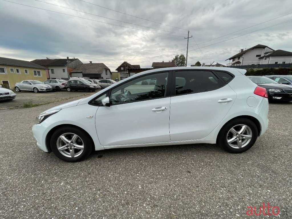 2015' Kia Ceed photo #4