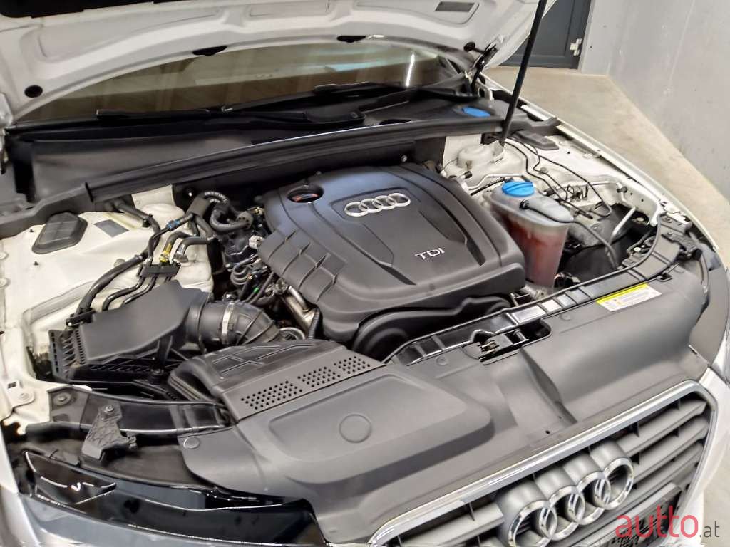 2013' Audi A4 photo #3