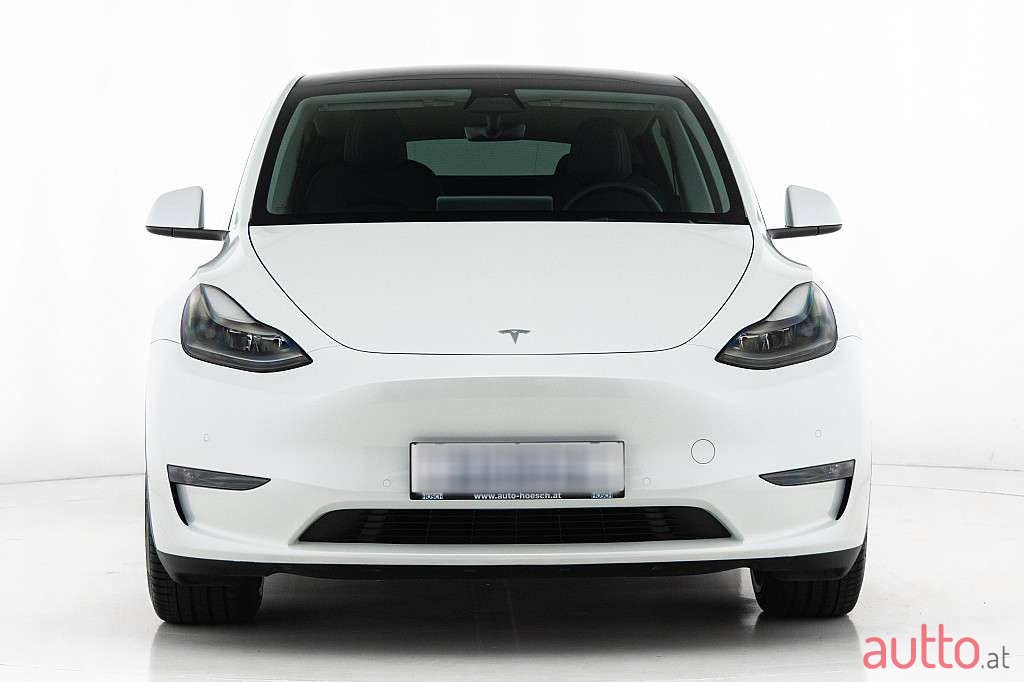 2022' Tesla Model Y photo #1