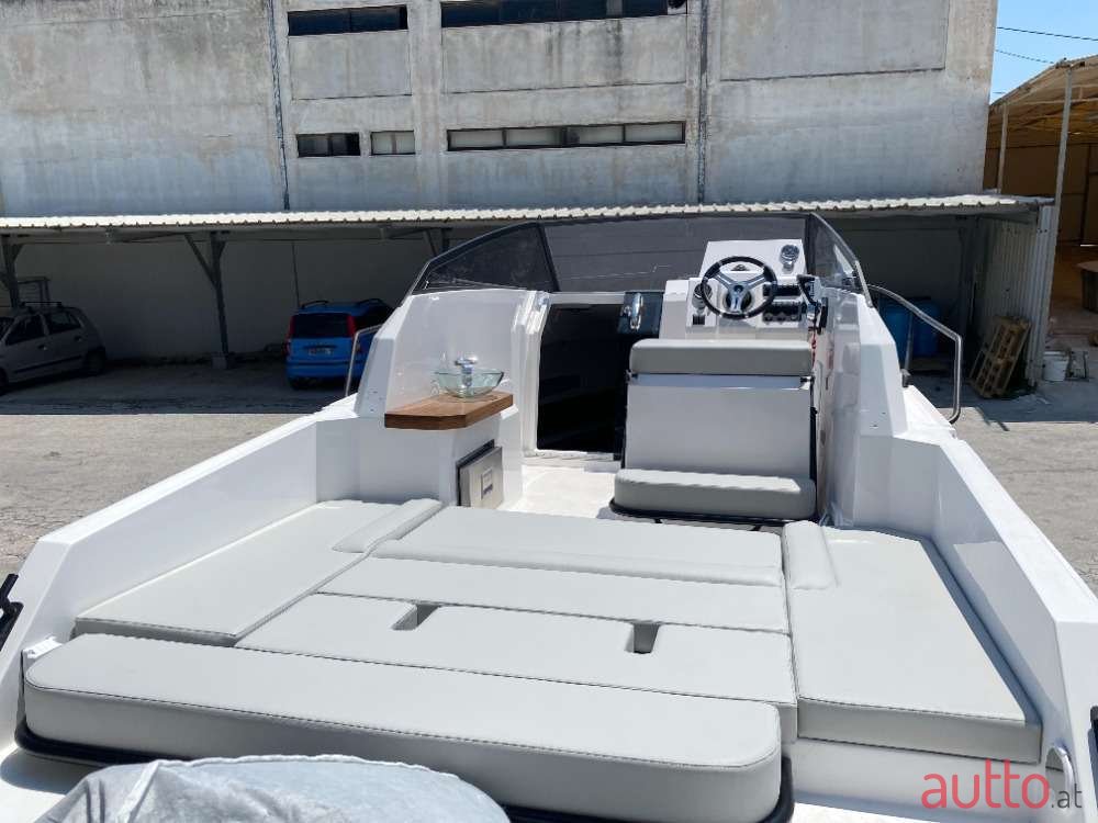 2024' Drago photo #2