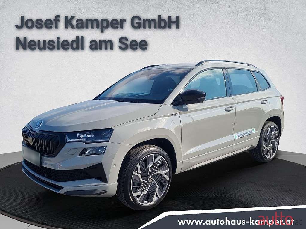 2023' Skoda Karoq photo #1