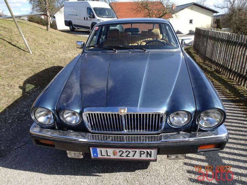 1982' Jaguar XJ photo #6