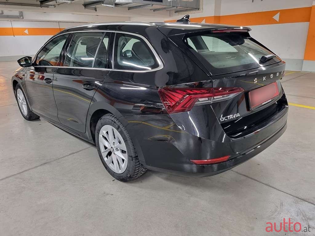 2020' Skoda Octavia photo #6