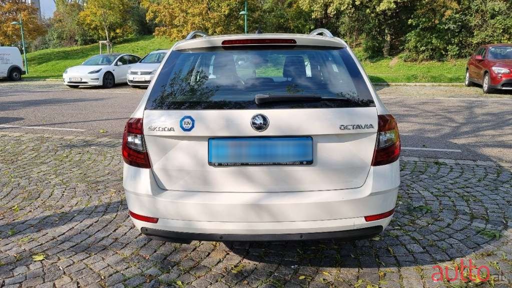 2019' Skoda Octavia photo #5