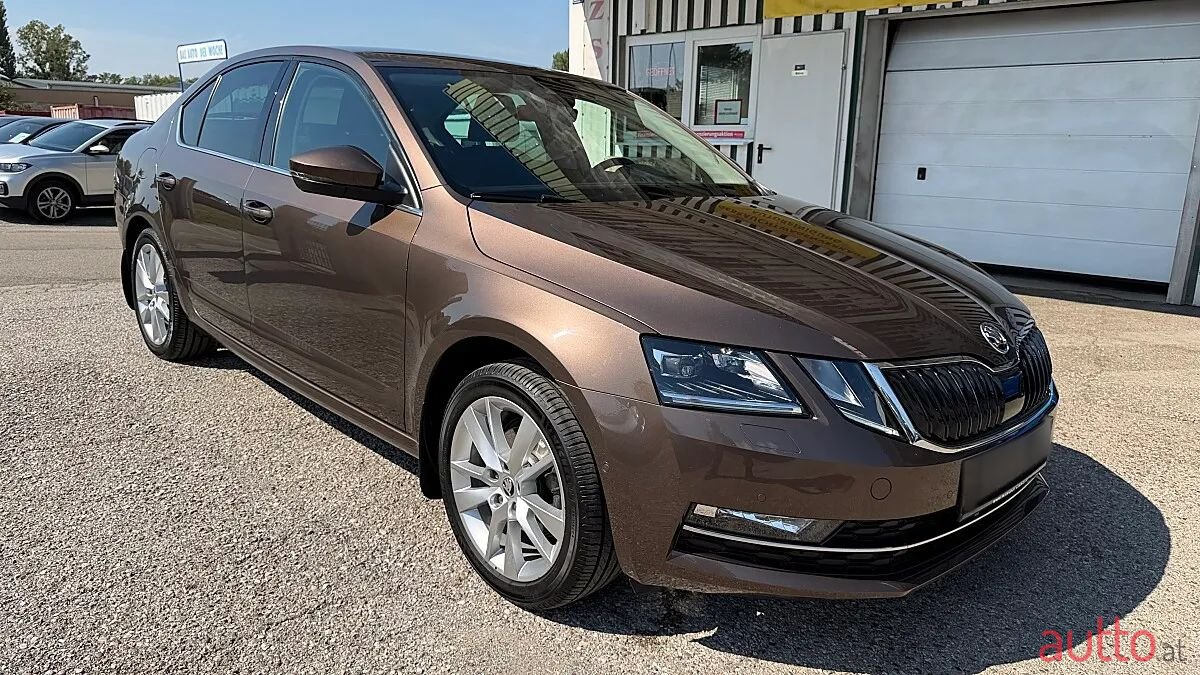 2018' Skoda Octavia photo #4