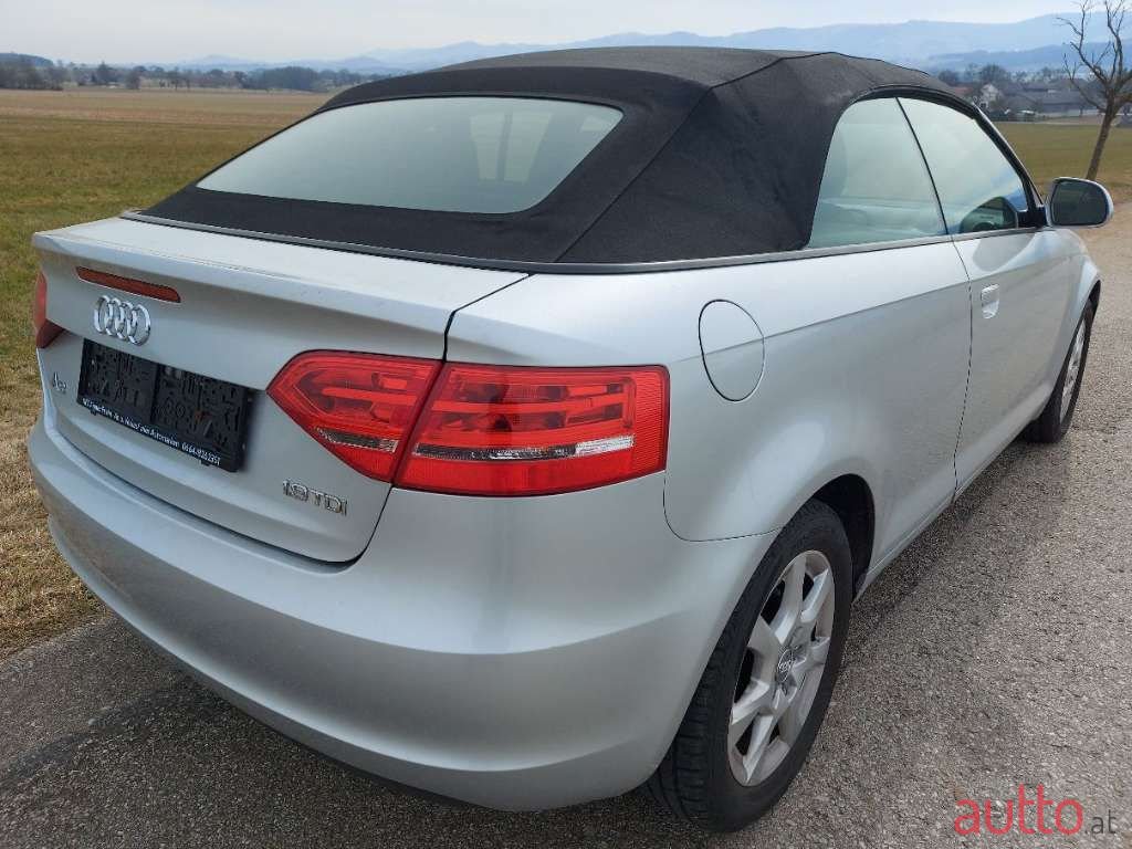 2009' Audi A3 photo #5