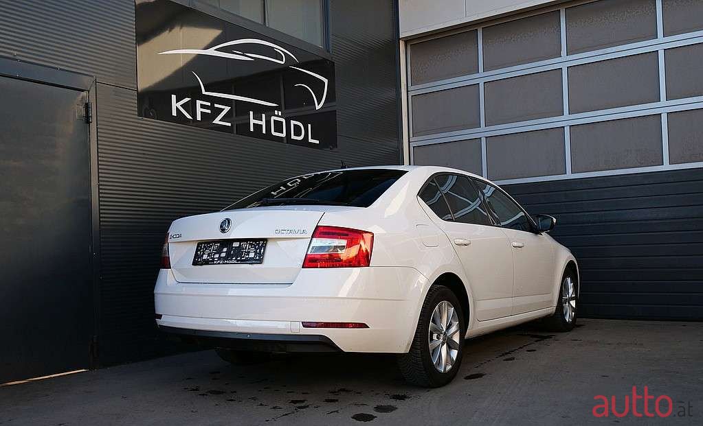 2018' Skoda Octavia photo #1