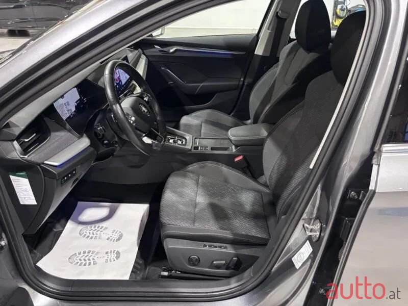 2023' Skoda Octavia photo #2