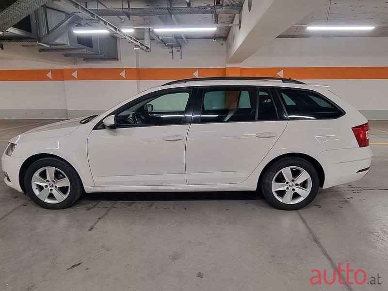 2019' Skoda Octavia photo #4