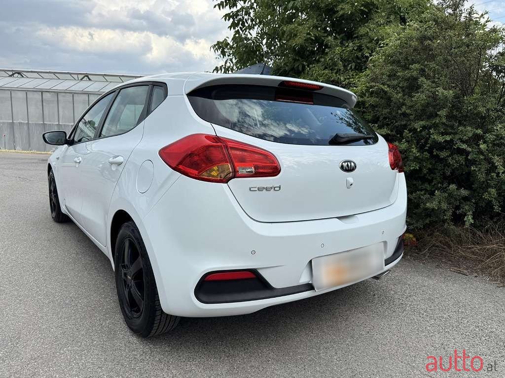 2014' Kia Ceed photo #6