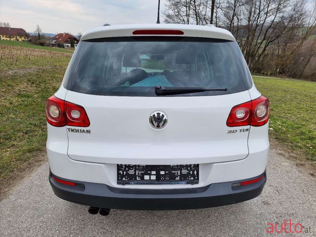 2010' Volkswagen Tiguan photo #5