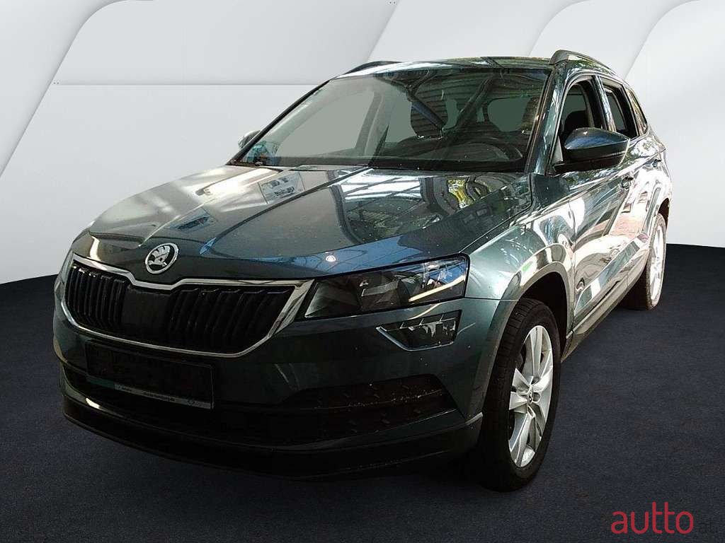 2019' Skoda Karoq photo #1