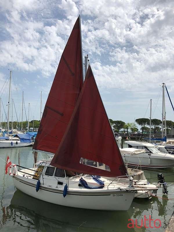 2008' Haber photo #1