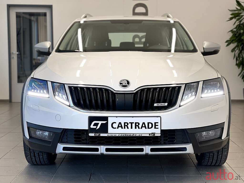 2019' Skoda Octavia photo #2
