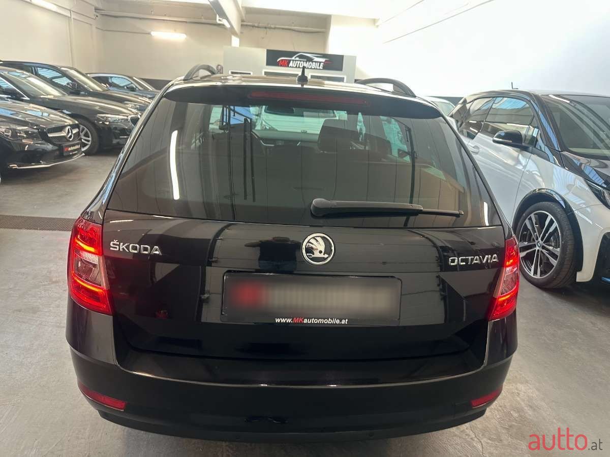 2021' Skoda Octavia photo #5