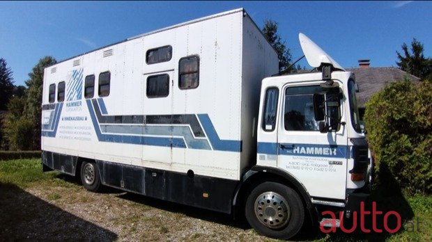 2013' MAN Pferdetransporter photo #1