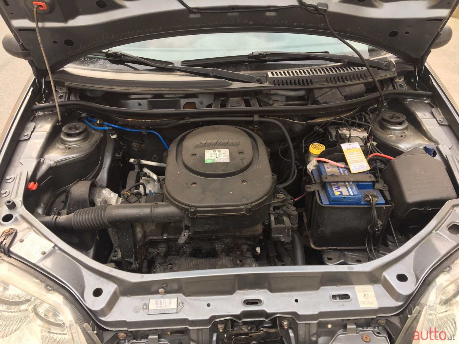 2005' Fiat Punto 188 photo #4