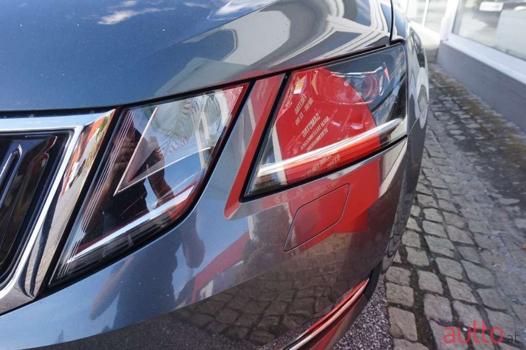 2019' Skoda Octavia photo #4