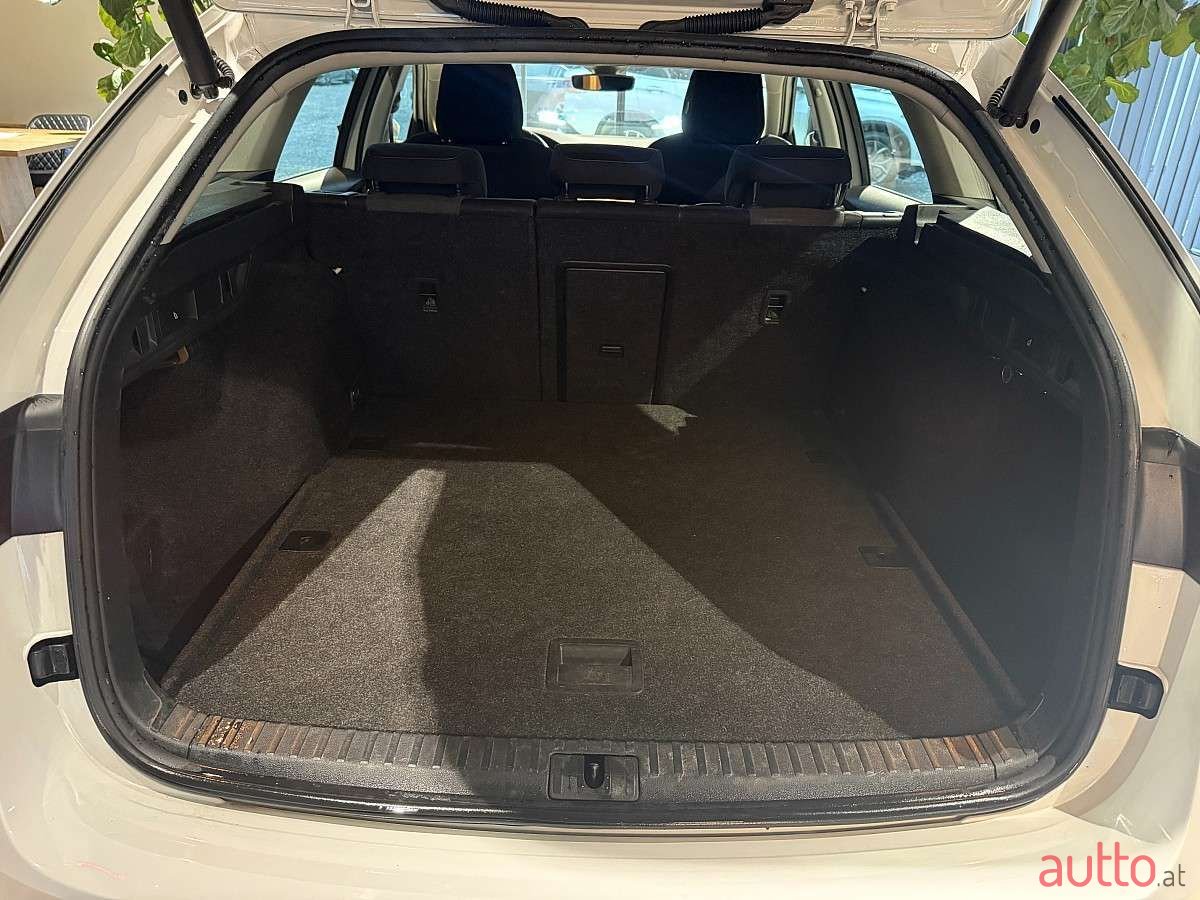 2020' Skoda Octavia photo #6