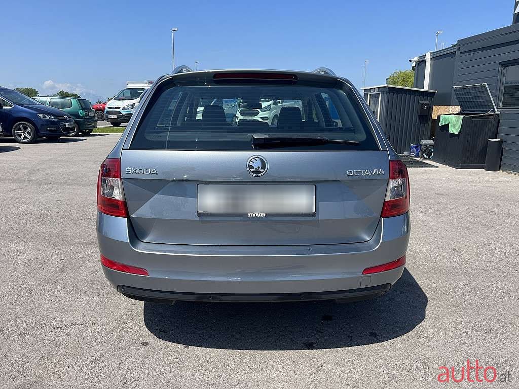 2013' Skoda Octavia photo #5