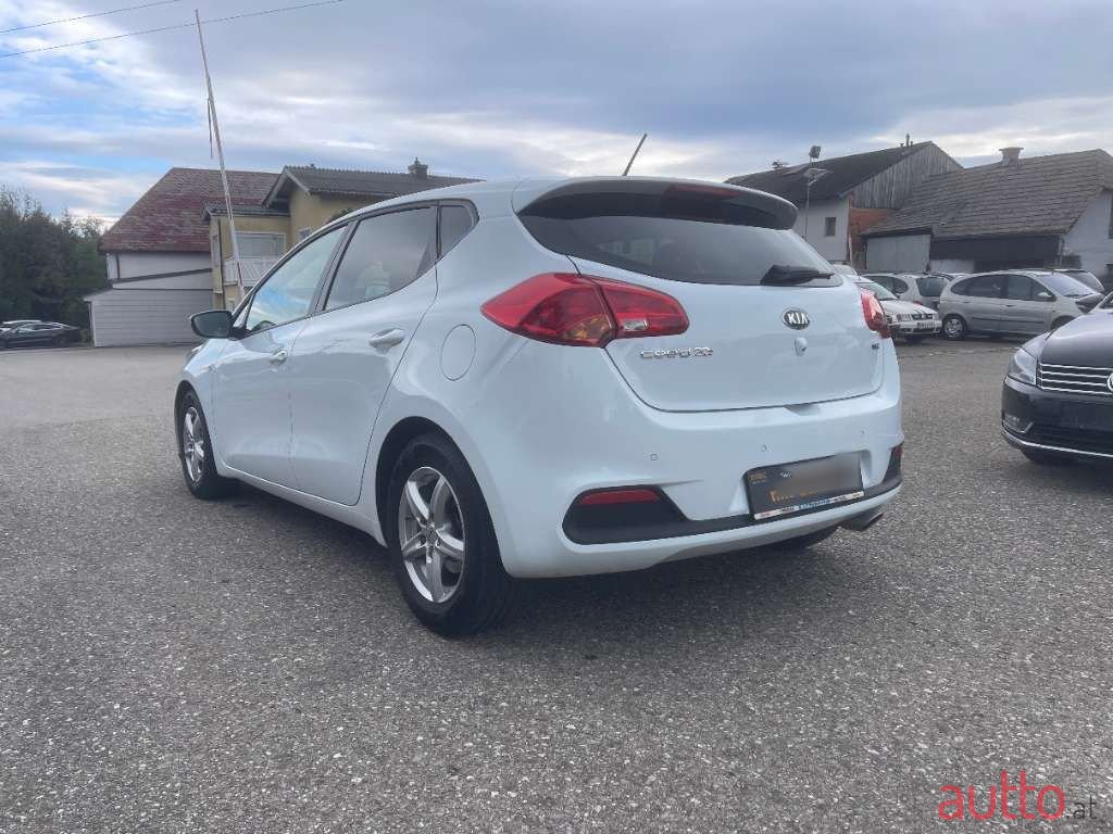 2015' Kia Ceed photo #5