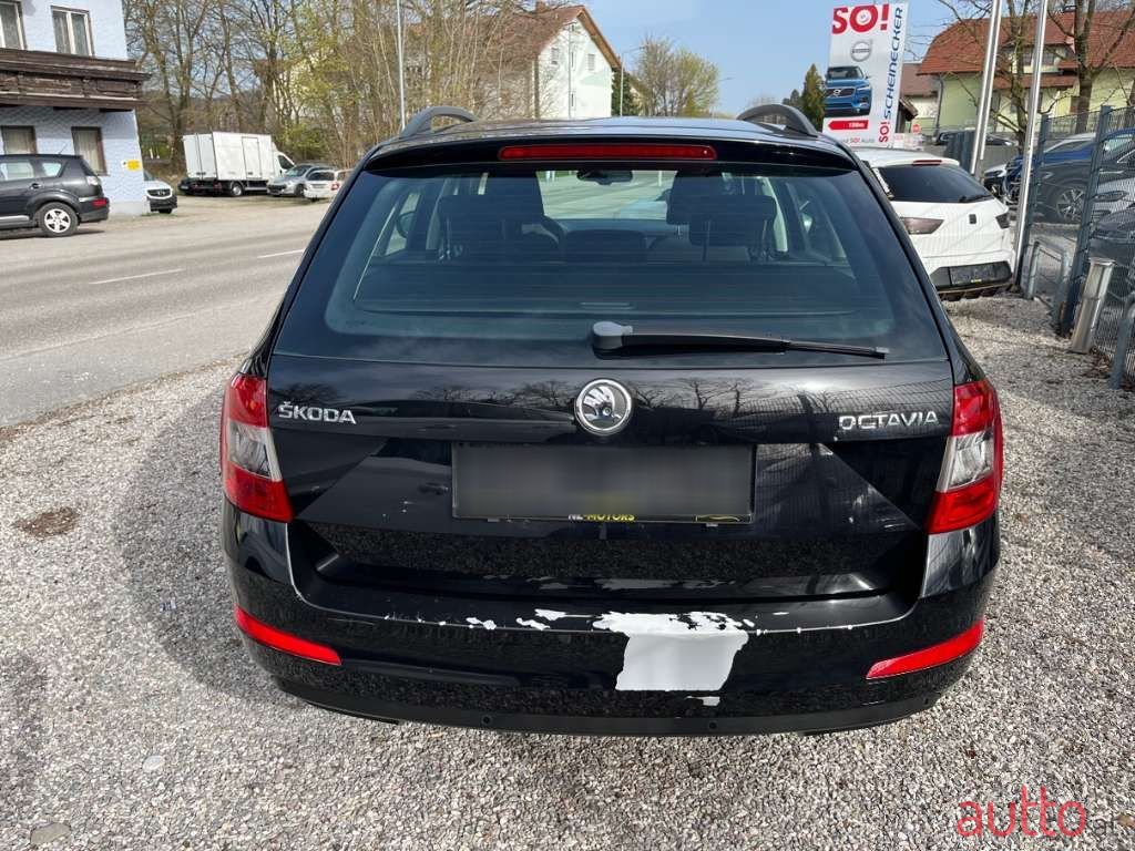 2014' Skoda Octavia photo #5
