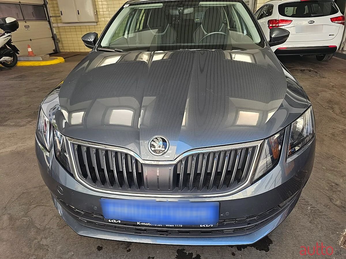 2017' Skoda Octavia photo #2