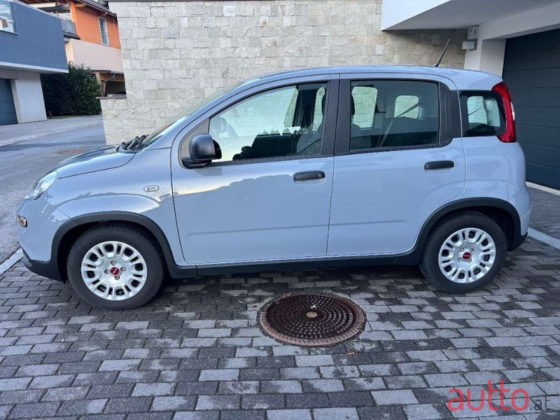 2023' Fiat Panda photo #4