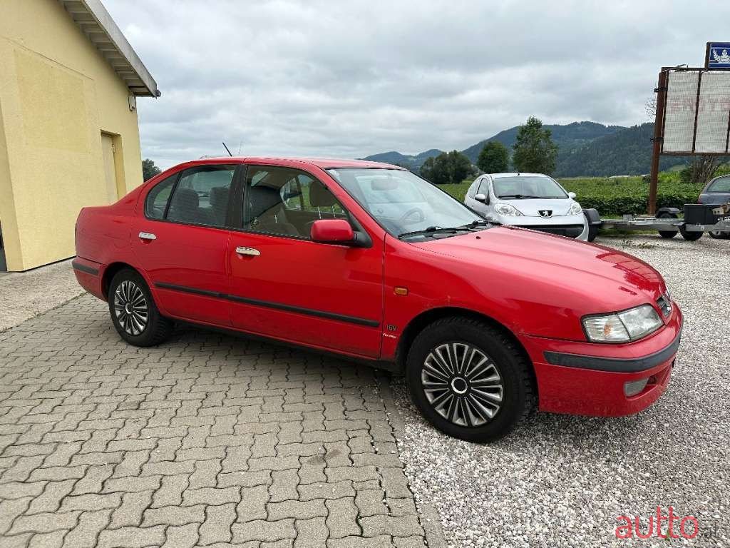 1999' Nissan Primera photo #6