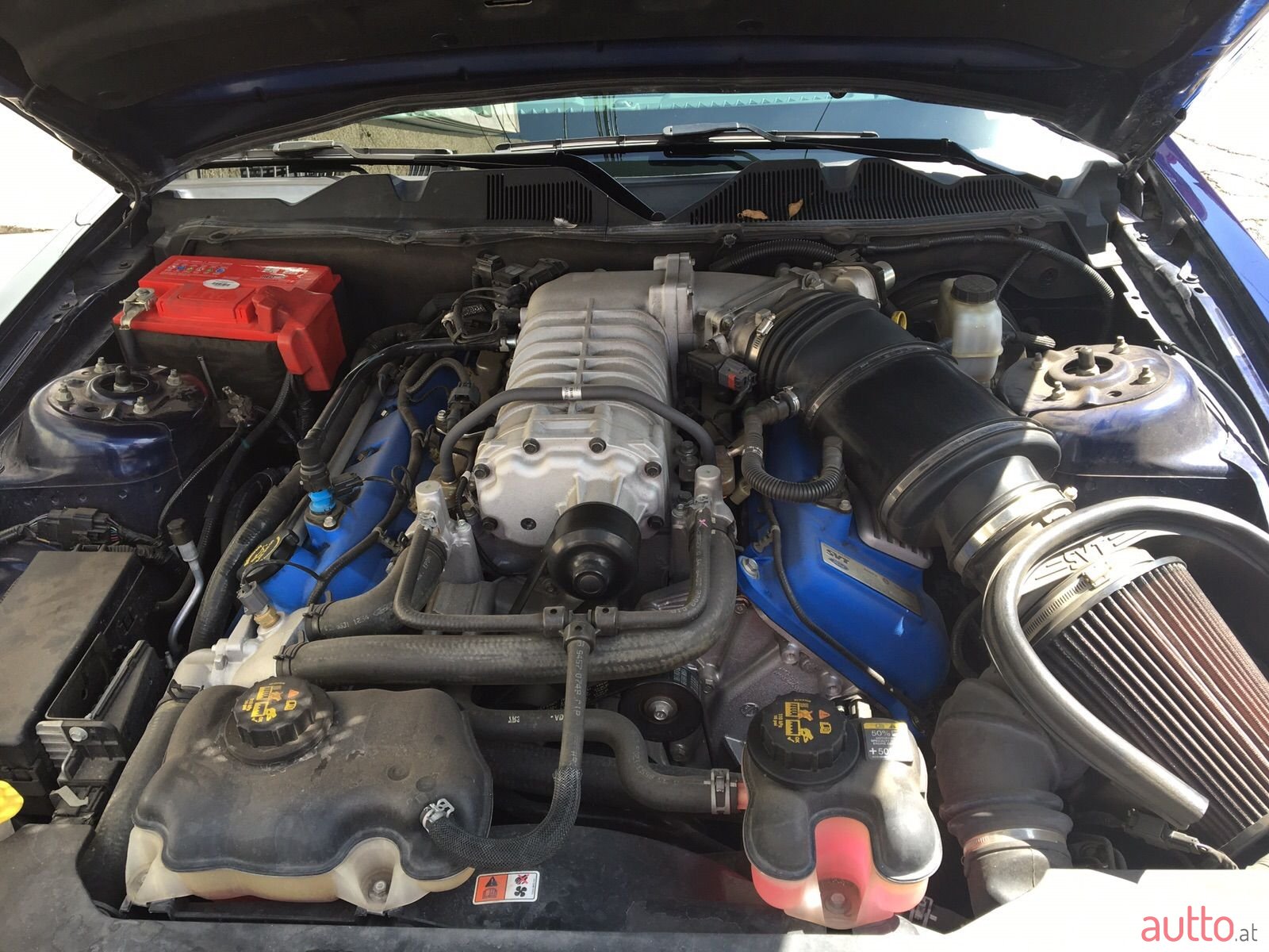 2011' Ford Mustang Shelby photo #6