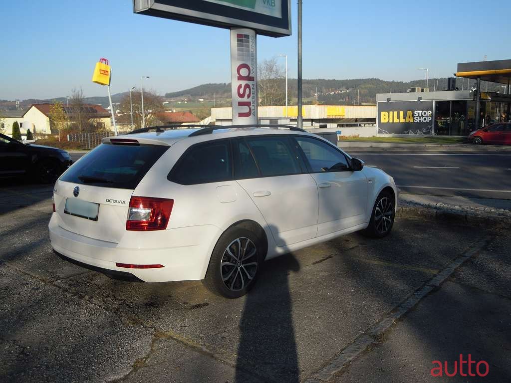 2019' Skoda Octavia photo #5