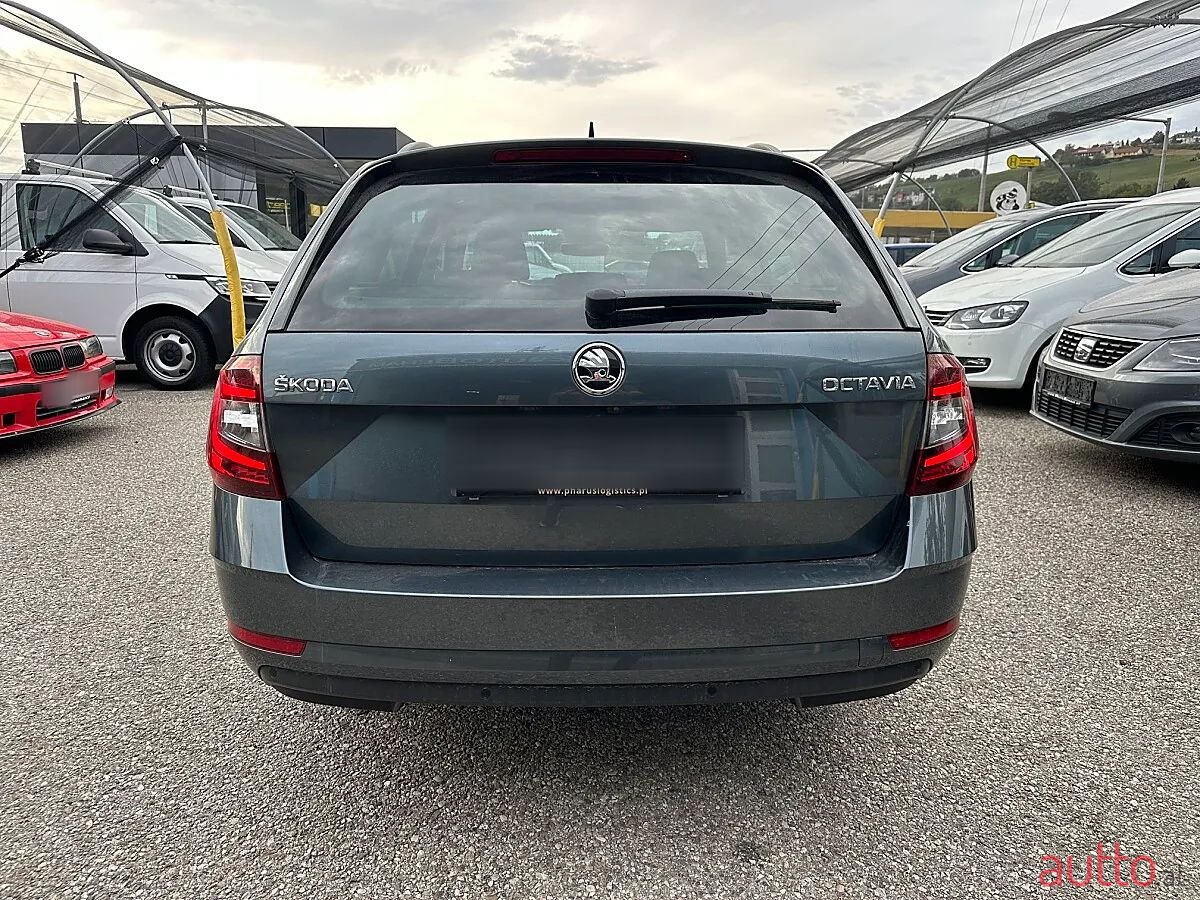 2019' Skoda Octavia photo #5