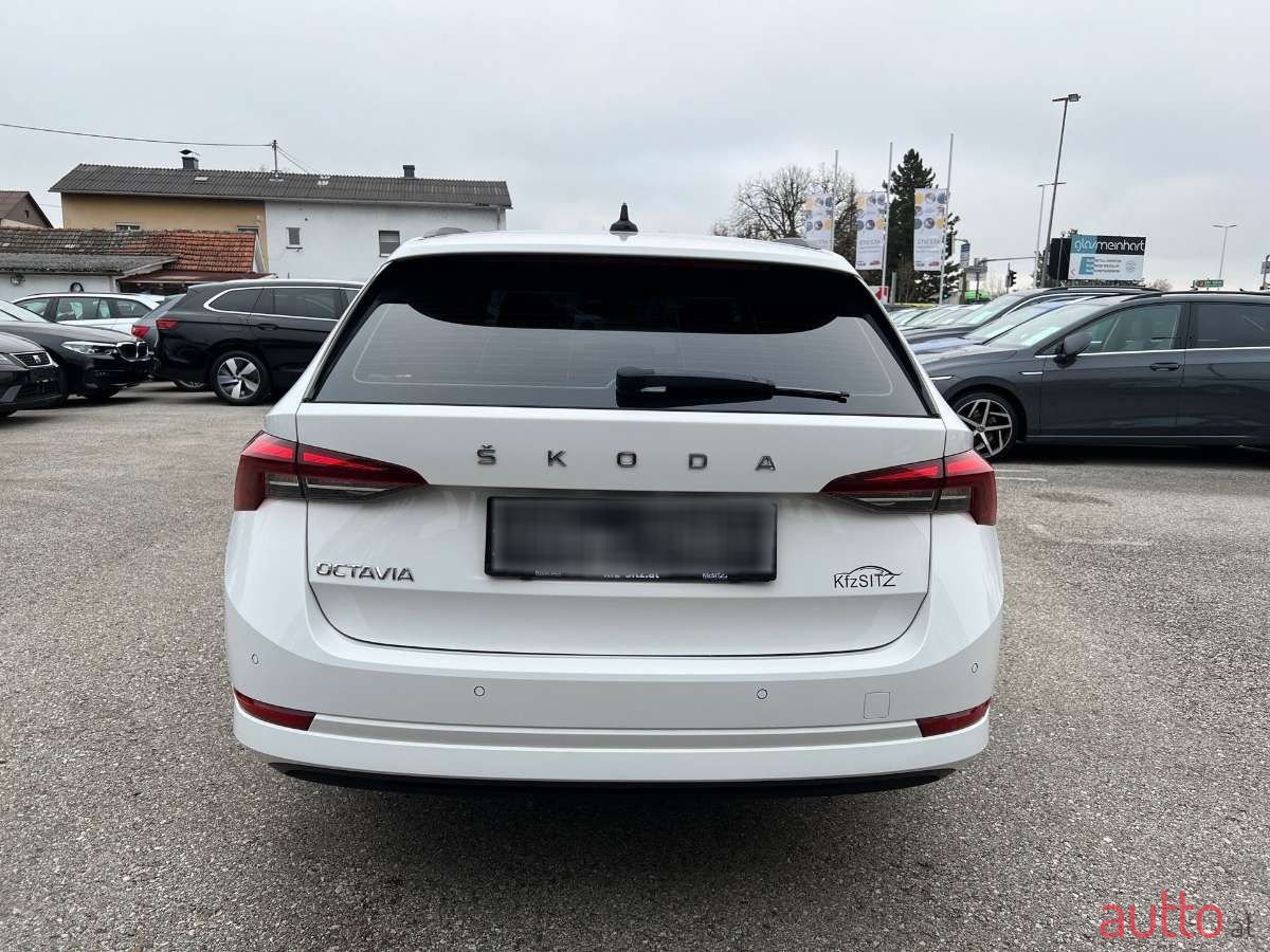 2021' Skoda Octavia photo #4