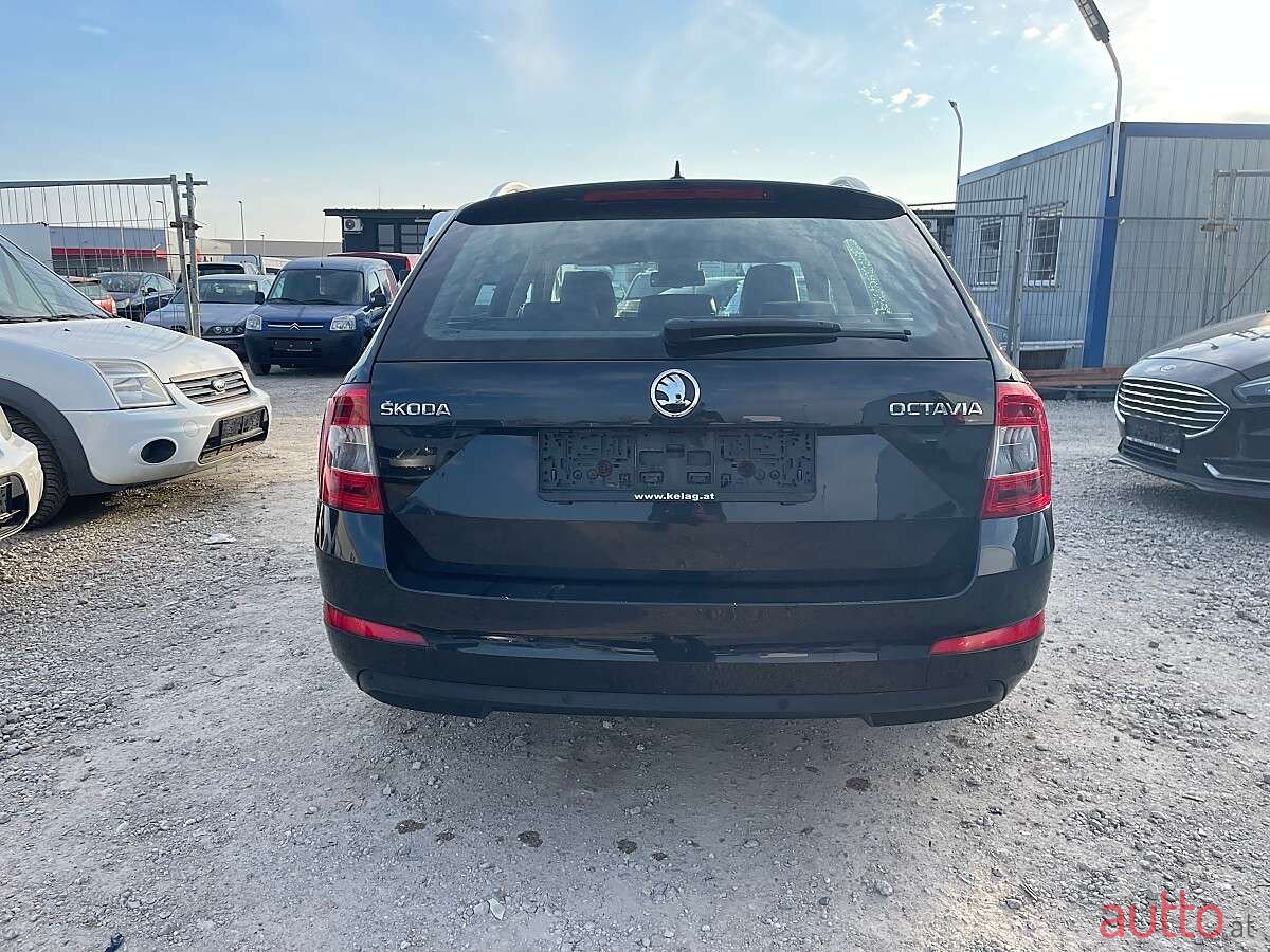 2015' Skoda Octavia photo #4