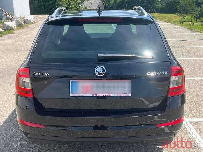 2017' Skoda Octavia photo #5