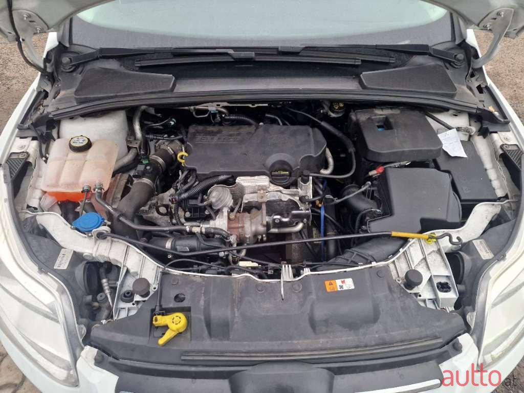 2014' Ford Focus photo #5