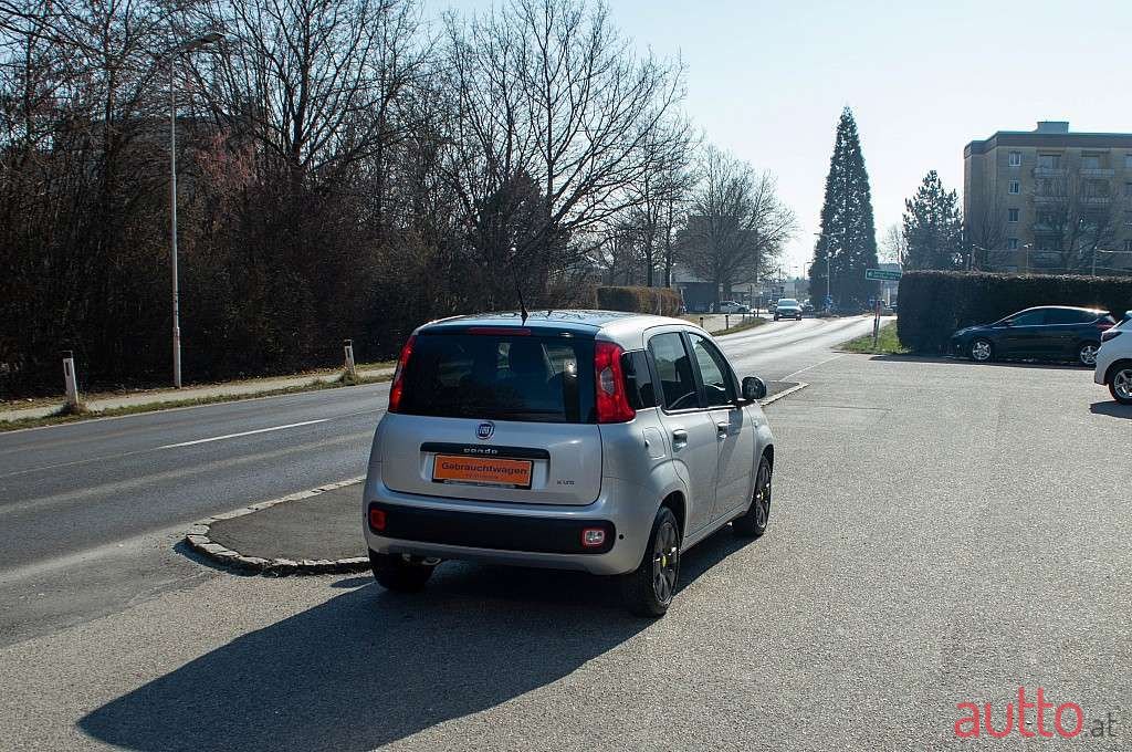 2015' Fiat Panda photo #4