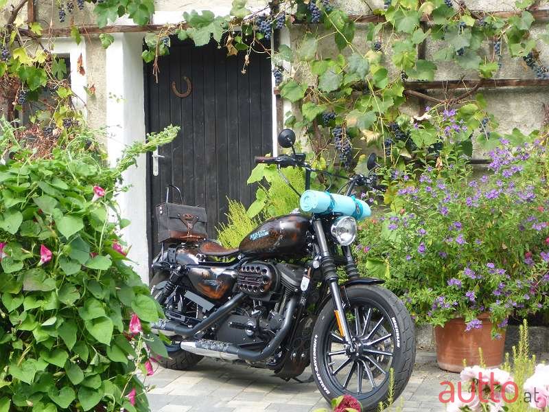 2013' Harley-Davidson photo #1