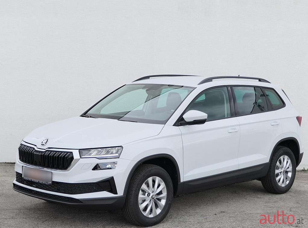 2023' Skoda Karoq photo #1
