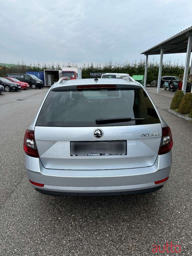 2019' Skoda Octavia photo #6