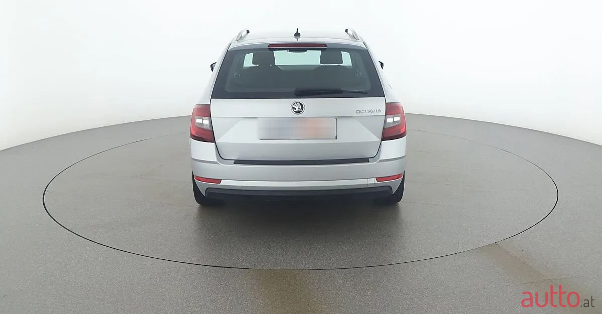 2019' Skoda Octavia photo #4