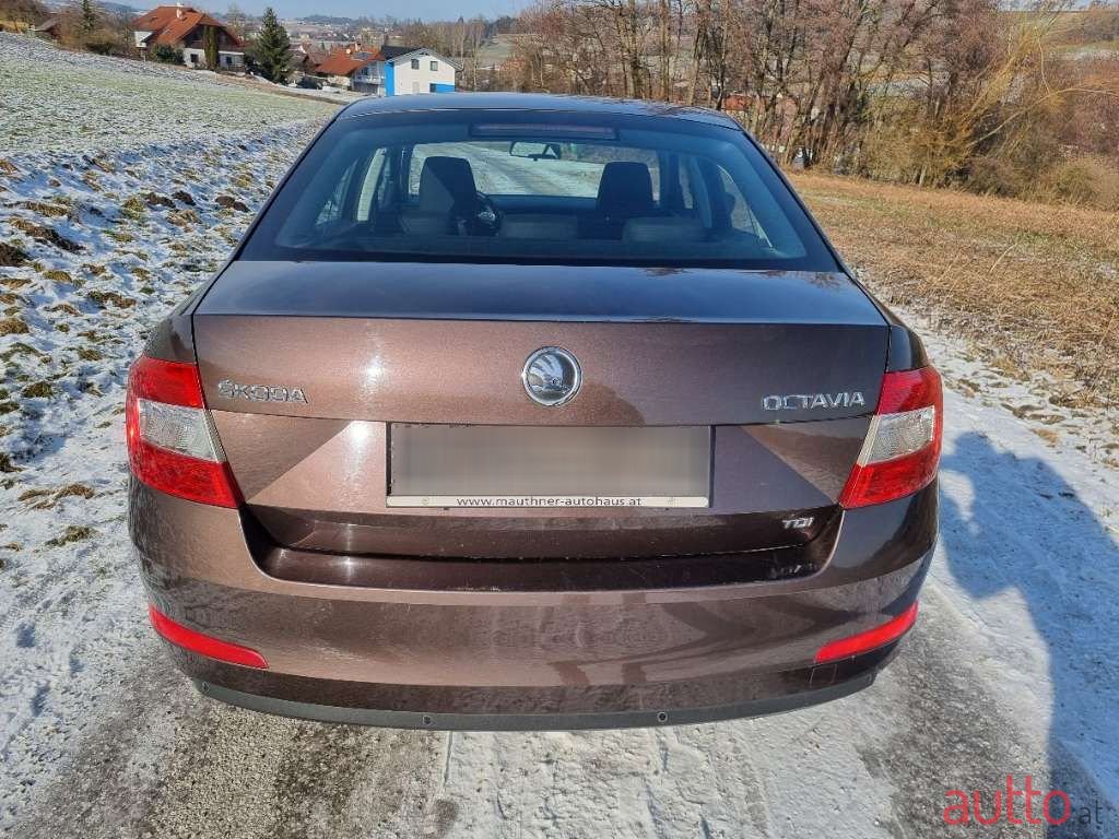 2013' Skoda Octavia photo #6
