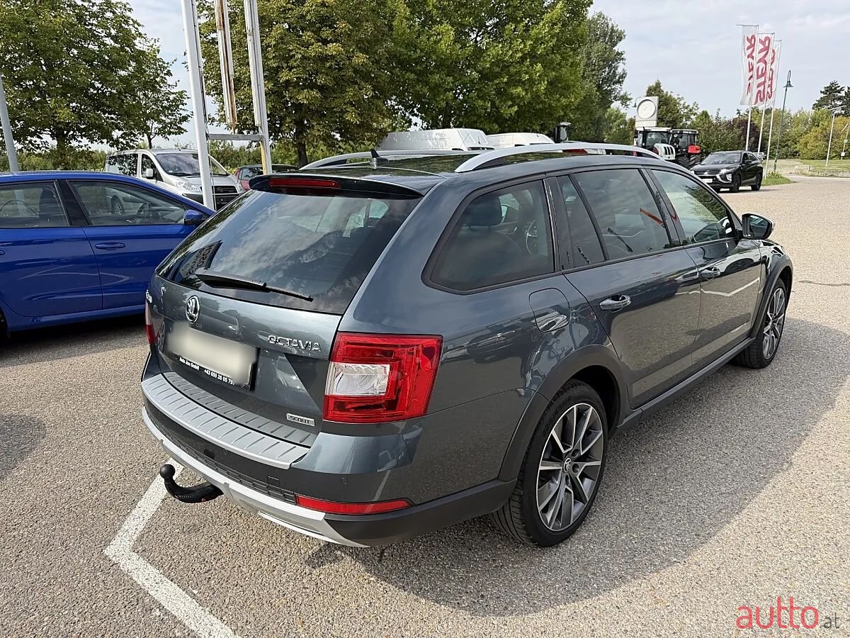 2017' Skoda Octavia photo #4