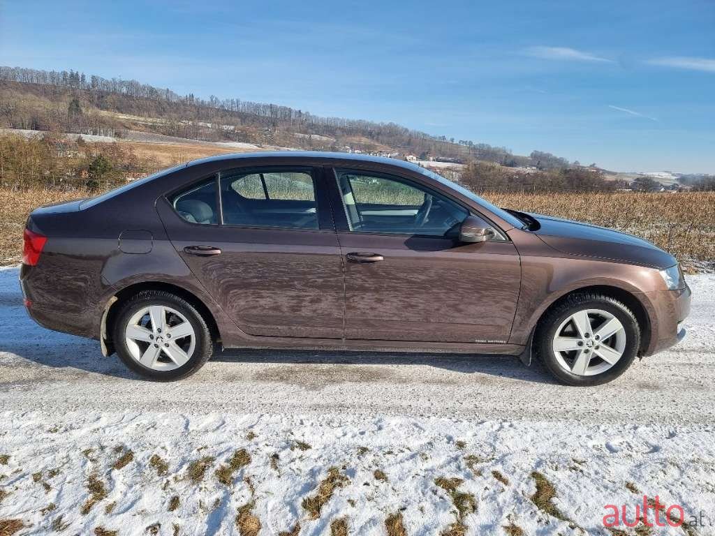 2013' Skoda Octavia photo #4