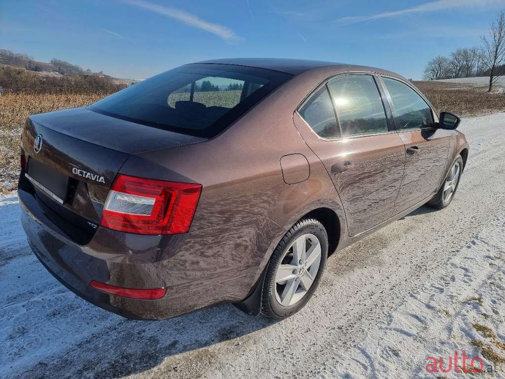 2013' Skoda Octavia photo #5
