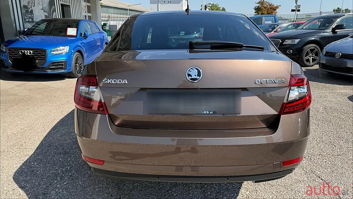 2018' Skoda Octavia photo #5
