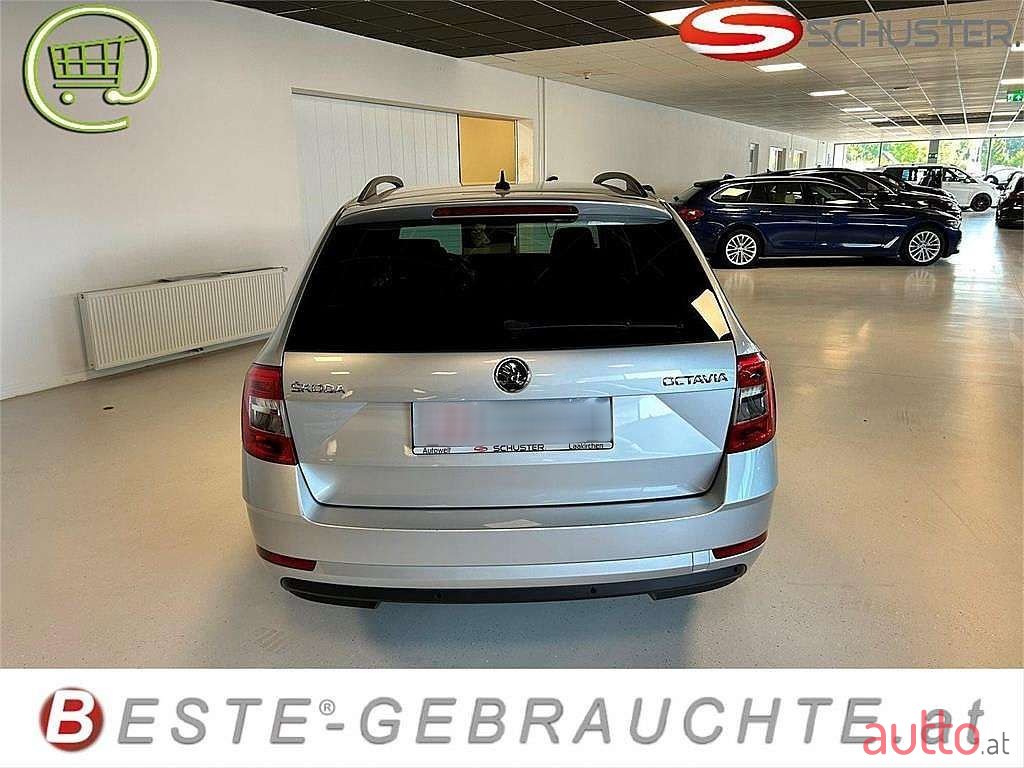2019' Skoda Octavia photo #5