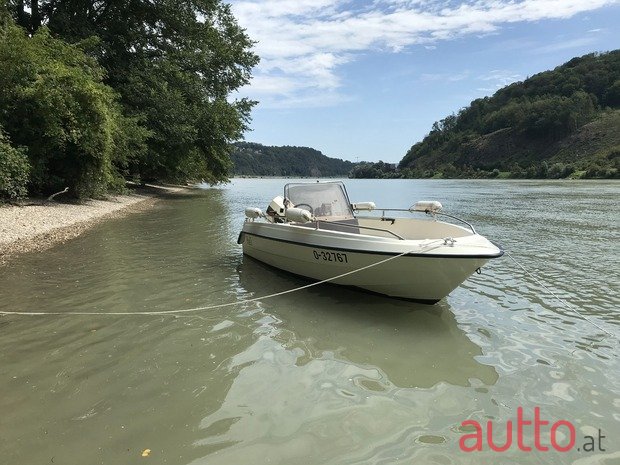 2013' Johnson BRP photo #1