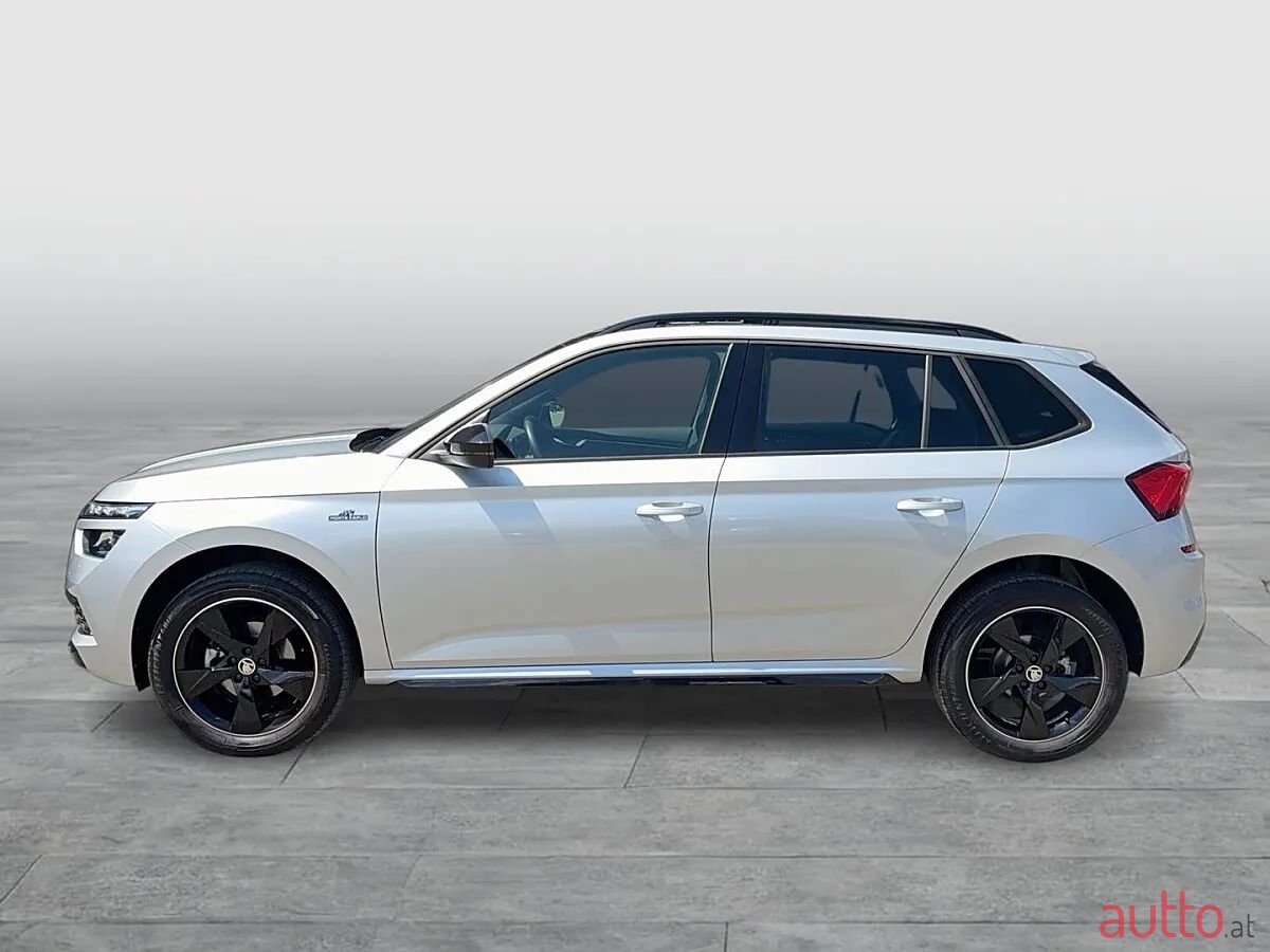 2021' Skoda Kamiq photo #2