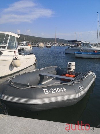 2010' Johnson BRP photo #1